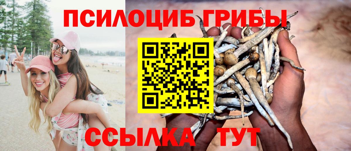 Галлюциногенные грибы Cubensis Балашов