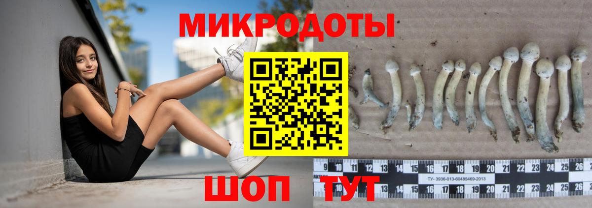 Псилоцибиновые грибы мицелий  Вход с VPN  купить наркоту  Балашов  Псилоцибиновые грибы Magic Shrooms 